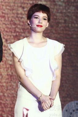 国海明星,闪耀金融市场的璀璨之星