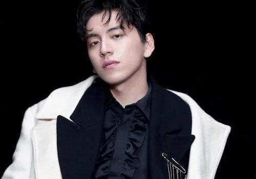 王大陆最新爆料,娱乐圈背后的惊人真相