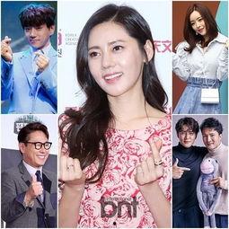 韩国明星天地,璀璨星河中的闪耀星辰