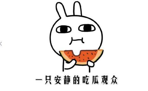 吃瓜事件都有啥,揭秘娱乐圈的幕后风云