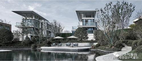 网红高清区,揭秘网络红人的魅力世界