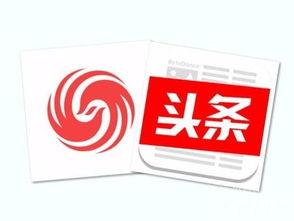 南阳今日头条新闻大葱,助力乡村振兴