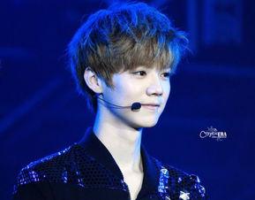 晗字的明星,揭秘明星晗的璀璨人生