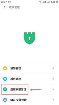 为什么会有头条推送广告,“揭秘头条广告推送背后的算法奥秘”