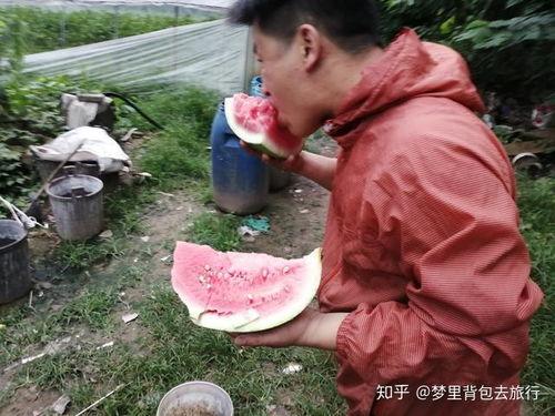 摆地摊猜拳吃瓜,摆摊猜拳吃瓜，趣味互动乐翻天