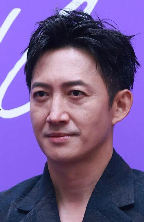 大叔感明星,揭秘明星们的成熟韵味