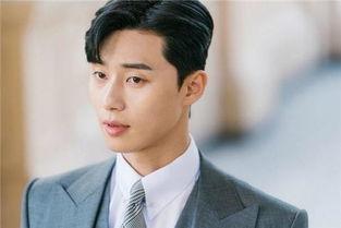 湖南溆浦男明星,湖南男明星的璀璨星途