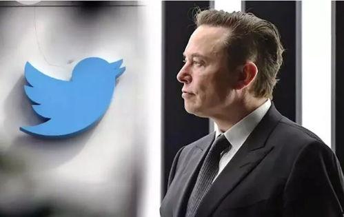 马斯克爆料美国媒体视频,揭秘真相与偏见