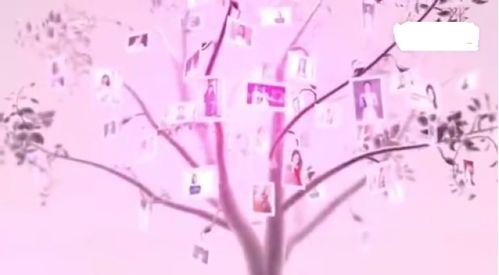 明星九宫格赵丽颖