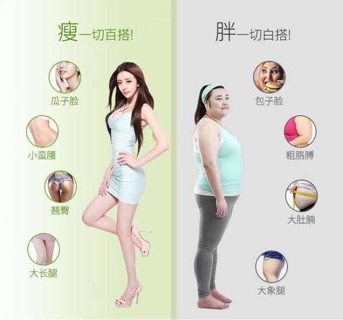 明星都在用的减肥产品,揭秘热门减肥产品排行榜