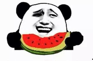 吃瓜看笑组,揭秘娱乐圈幕后趣闻