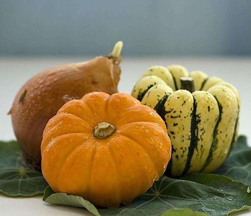 母亲梦到买南瓜吃瓜,探寻母亲心中甜蜜的味蕾记忆