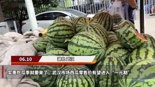 武汉吃瓜,一网打尽吃瓜群众的最爱