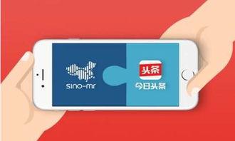 头条问答选择什么领域,热门领域的深度解析与趋势洞察