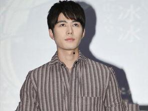 友姓的明星,闪耀娱乐圈的璀璨星辰