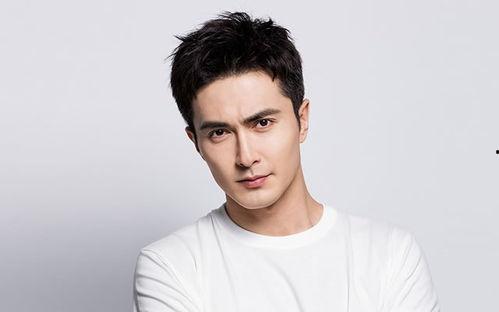 姓高的有哪些明星,揭秘姓高的娱乐圈明星风采