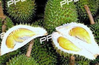 吃榴莲瓜吗本人,独特风味，健康美味的新宠